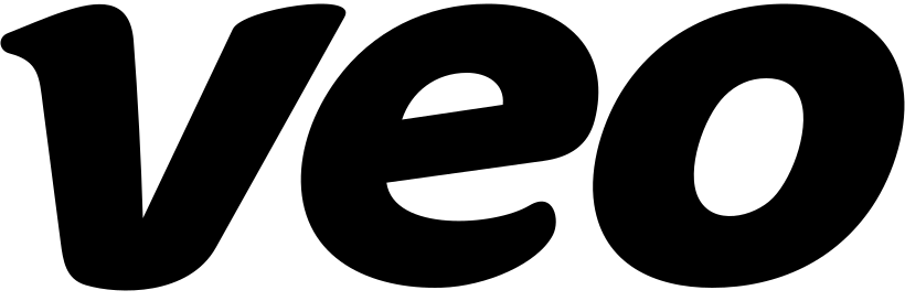 Veo Logo Logo